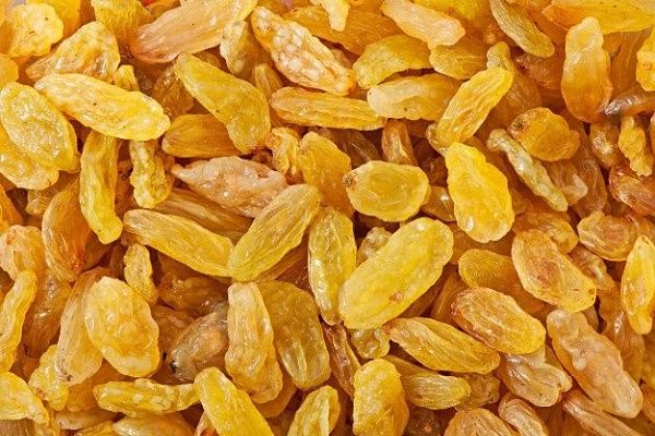 इंदौर किराना बाजार: इस सीजन में किशमिश का उत्पादन कम, स्टाकिस्ट सक्रिय