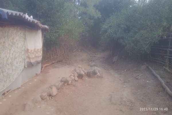 खल्लारी के भालूपारा में आजादी के बाद से सड़क को तरसे ग्रामीण