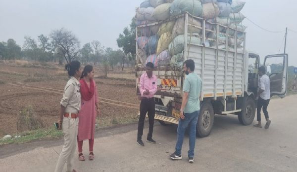 Mandi investigation team took action on illegal trade of peanuts