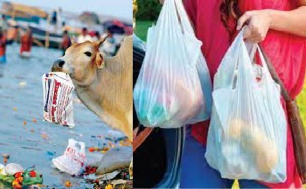 सिंगल यूज प्लास्टिक पर लगे प्रतिबंध