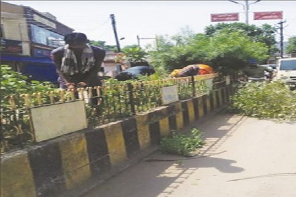 भिलाई क्षेत्र में उद्यानों एवं डिवाइडरो में लगाये गये पौधो की हो रही है कटाई-छटाई