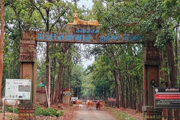 वर्षा का प्रभाव, अब एक नवंबर से पर्यटकों के लिए खुलेगा अचानकमार टाइगर रिजर्व