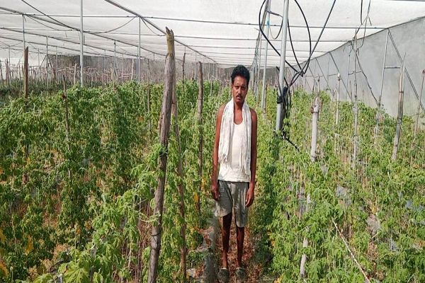 राष्ट्रीय कृषि विकास योजना से कावेराम हो रहा आर्थिक रूप से सशक्त