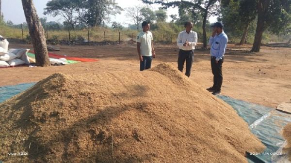 7 हजार 190 पंजीकृत किसानों से 3 लाख क्विंटल से अधिक का किया गया धान उपार्जन