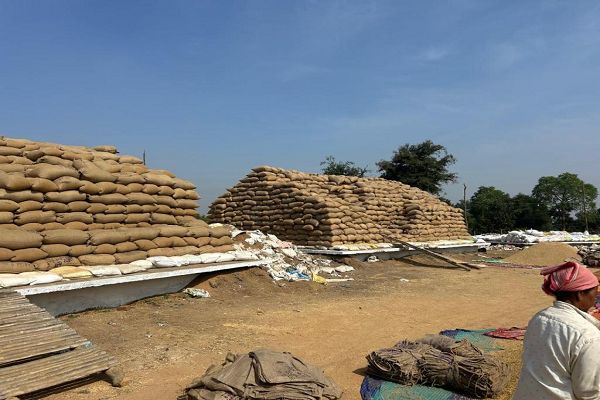 महासमुंद अब तक 4.89 लाख क्विंटल धान की खरीदी