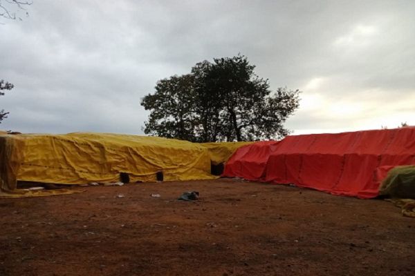 कैप कवर से ढक्कर सुरक्षित रखे गए धान