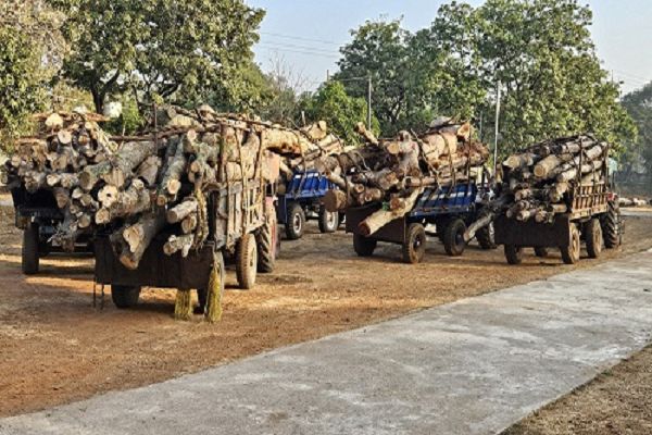 अवैध काष्ठ परिवहन, 8 ट्रैक्टर जप्त