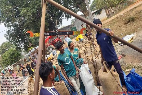 गंगालूर धान मंडी में किसानों के साथ अन्याय, प्रति बोरा 3 किलो तक धान वसूली...