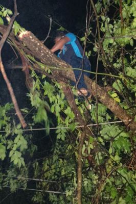 छत्तीसगढ़ में बेमौसम बारिश ने ली तीन लोगों की जान