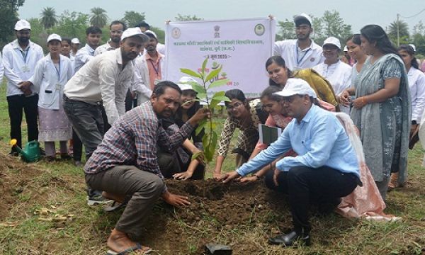 उद्यानिकी महाविद्यालय में मनाया गया विश्व पर्यावरण दिवस
