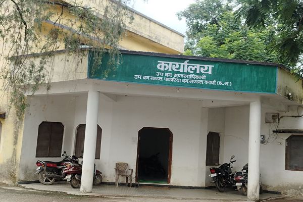  गाभोड़ा के बैगा  जोह रहे बाट  पंडरिया का बन विभाग कहां