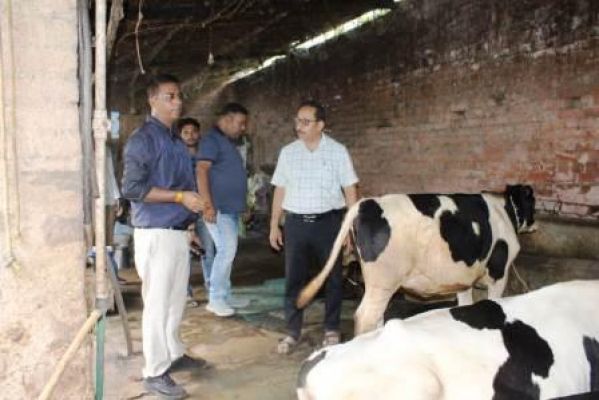 लखपति दीदी मनोरमा नायक की तरह दूसरे भी अपनाएं डेयरी व्यवसाय : कलेक्टर डॉ कन्नौजे