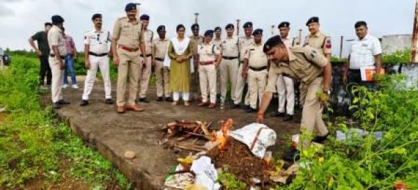 पुलिस अधीक्षक की मौजूदगी में 7 किलो गांजा व 131 नग नशीले इंजेक्शन का किया गया नष्टीकरण