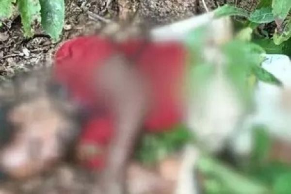 चरवाहे को जंगली हाथियों ने कुचला, मौत