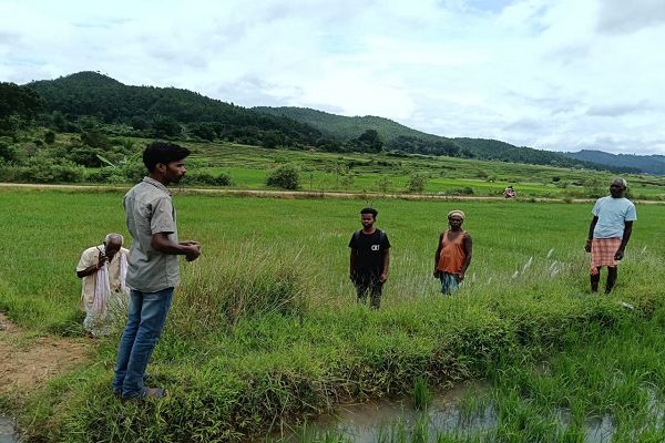  744 गांवों में डिजिटल फसल सर्वेक्षण कार्य पूर्ण