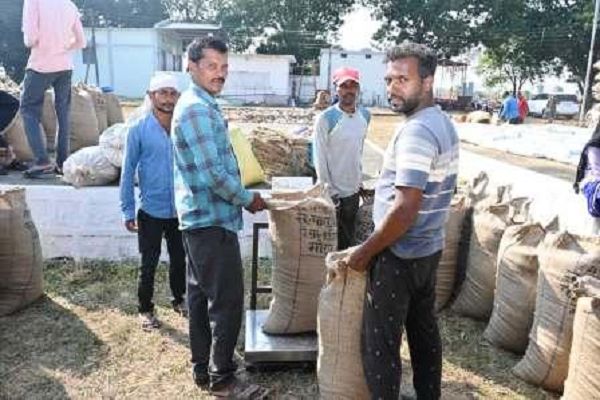 जिले में धान खरीदी सुगमता से जारी, तकनीक आधारित पारदर्शी व्यवस्था से किसानों में उत्साह
