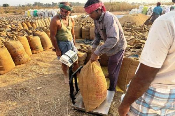 धान खरीदी और रबी तैयारी पर कलेक्टर का फोकस