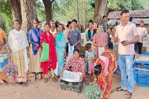 बोदागुड़ा और चीचोरड़गुडा में ग्रामीणों को 50 यूनिट बटेर का निःशुल्क वितरण