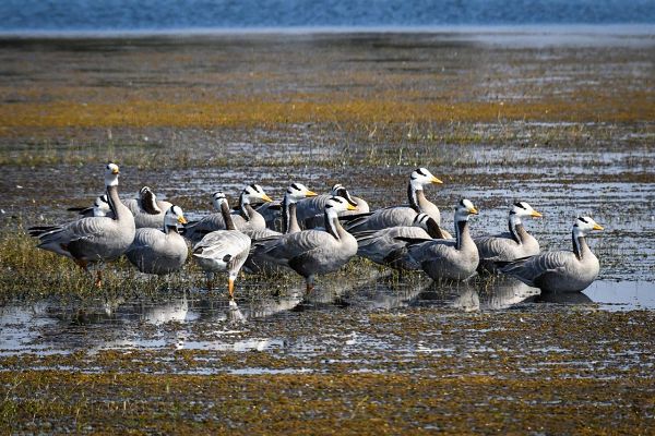 वन एवं जलवायु परिवर्तन मंत्री श्री केदार कश्यप ने प्रदेशवासियों को दी बधाई