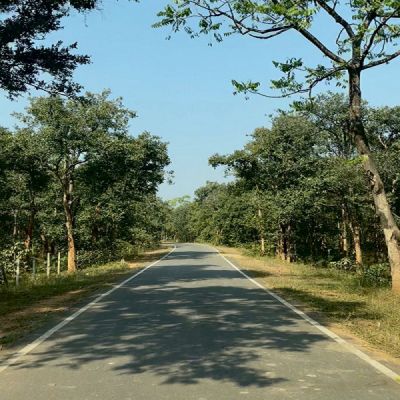 पीएम जनमन योजना से बदली ग्राम बांसकुड़ा कमार बस्ती की तस्वीर