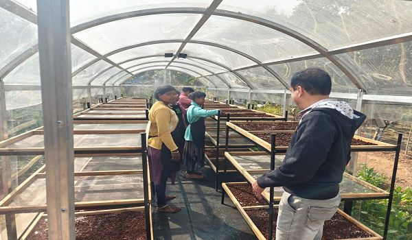 जशपुर में DST प्रायोजित परियोजना के तहत सोलर टनल ड्रायर की स्थापना