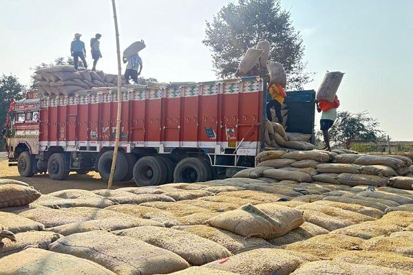 विशेष लेख : धान प्रबंधन में प्रशासनिक दक्षता और नेतृत्व का समन्वय मनेंद्रगढ़-चिरमिरी-भरतपुर का उभरता मॉडल