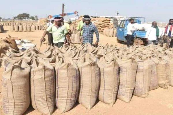 बालोद में धान खरीदी घोटाले का खुलासा : रिजेक्ट धान पर 11.40 लाख का अनुचित भुगतान, राशि वापस ली