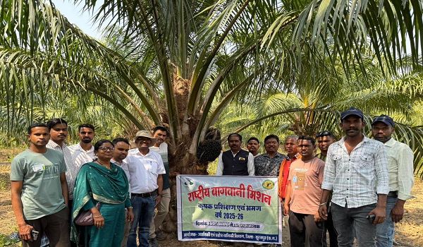 छत्तीसगढ़ के किसानों ने ओडिशा में देखी ऑयल पाम की खेती