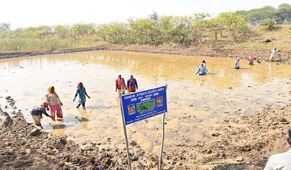 अंतर्राष्ट्रीय महिला दिवस पर विशेष लेख : अंतर्राष्ट्रीय महिला दिवस: स्व-सहायता समूहों के माध्यम से आत्मनिर्भर बन रहीं धमतरी जिले की महिलाएं