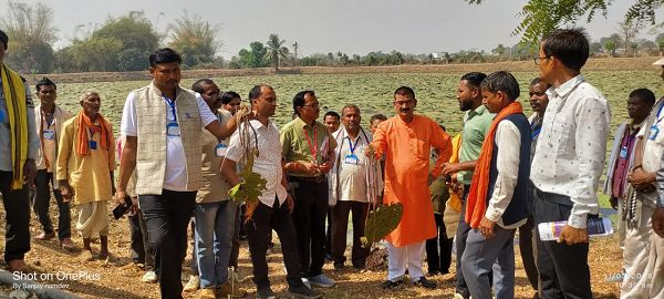 मध्यप्रदेश के किसानों का ग्राम लिंगाडीह आरंग में मखाना खेती भ्रमण एवं प्रशिक्षण संपन्न