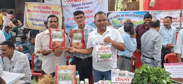 लैलूंगा की पहचान बना &lsquo;केलो&rsquo; जैविक जंवाफूल चावल