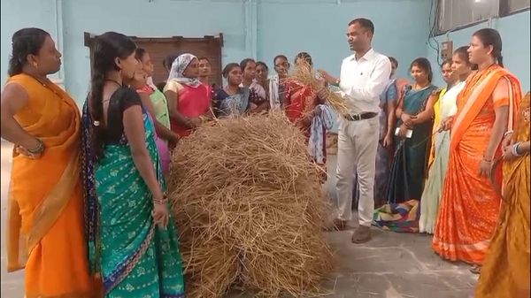 गरियाबंद में महिलाओं को आत्मनिर्भर बनाने की पहल - मशरूम खेती प्रशिक्षण से बढ़ेगा स्वरोजगार