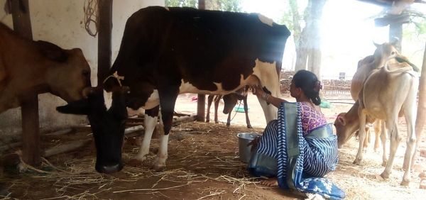 बिहान से बदली जिंदगी: गुंजवती पेगड़ बनीं &ldquo;लखपति दीदी&rdquo;