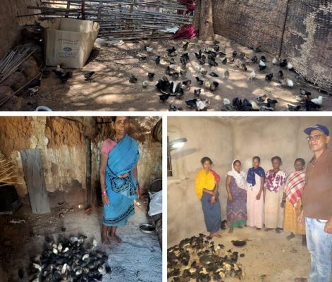 ​नियद नेल्लानार योजना: कच्चापाल जलप्रपात के पास 'इन्द्रावती समूह' की महिलाएँ मुर्गी पालन से लिख रहीं आत्मनिर्भरता की नई इबारत