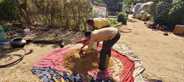 नैनो यूरिया और नैनो डीएपी का उपयोग कम लागत में ज्यादा उत्पादन