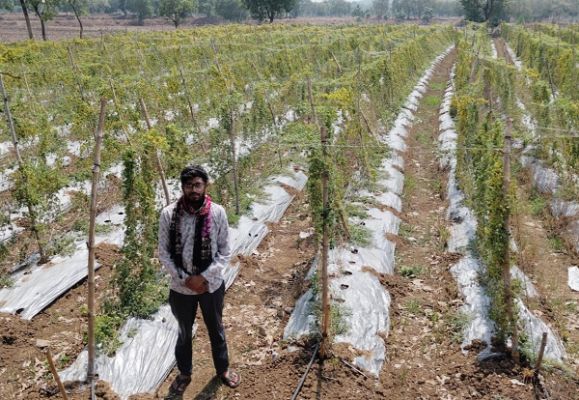 राष्ट्रीय बागवानी मिशन योजना : करेला उत्पादन से किसान दीपक की बढ़ी आय