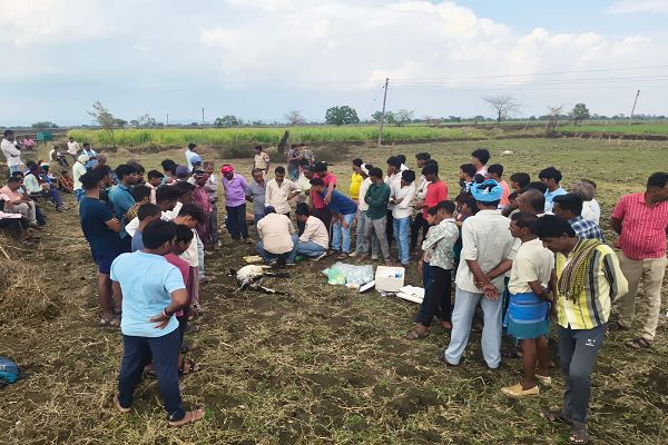 डूमरहा खार में 11 बकरी बकरियां संदिग्ध अवस्था मे मौत