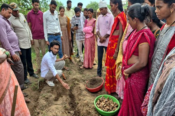  धमतरी का 'नगरी' बनेगा हल्दी उत्पादन का नया हब: 250 किसानों ने थामा वैज्ञानिक खेती का हाथ, 250 टन पैदावार का लक्ष्य