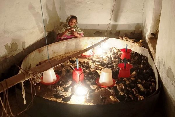  मुर्गी पालन, मशरूम उत्पादन और चटिया मिल से संवरी लच्छंतीन बाई की जिंदगी
