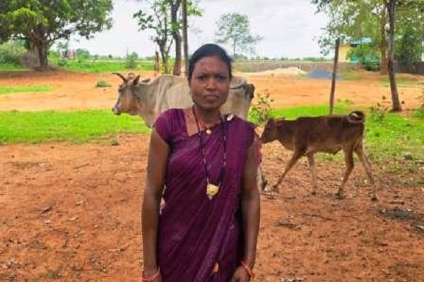 बिहान योजना से मिली नई पहचान : पशु सखी बन आत्मनिर्भर हुईं तैलासो राजवाड़े, हर माह 10 से 15 हजार रुपये की आय