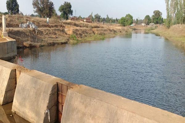 अंधेरगढ़ नाला का पक्का चेक डेम बना किसानों की उम्मीद, 12.5 एकड़ खेतों को मिलेगा सिंचाई का संबल