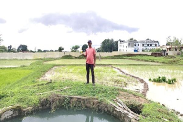 किसान राय सिंह ने कम लागत में बेहतर उत्पादन की उम्मीद के साथ अपनाई आधुनिक कृषि तकनीक Posted On:- 2026-07-23