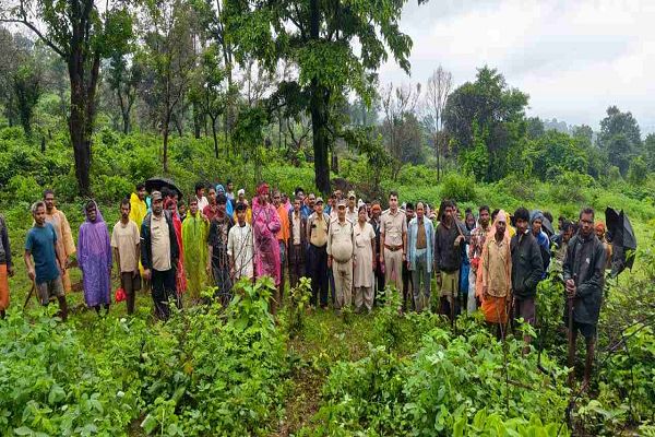 वन भूमि पर अतिक्रमण का प्रयास विफल, 3 हेक्टेयर क्षेत्र में 5000 पौधों का किया गया वृक्षारोपण