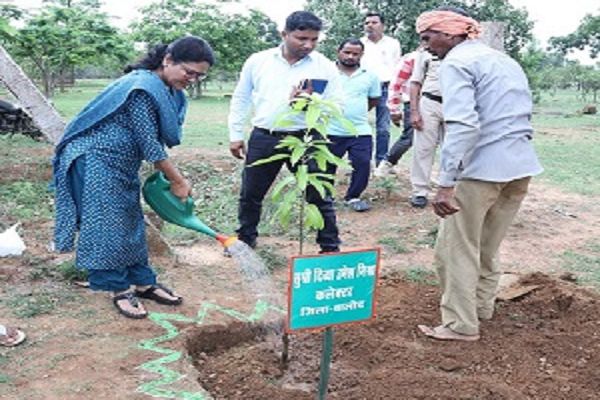 कलेक्टर ने भेजामैदानी में वीबी जी राम जी के तहत वृक्षारोपण कार्यक्रम का शुभारंभ किया