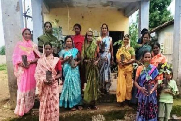 'महतारी वंदन वृक्षारोपण' को भव्य बनाने जुटा प्रशासन, आंगनबाड़ियों के ज़रिए महिलाओं तक पहुँच रहे पौधे