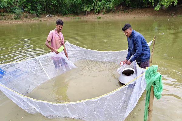 स्पान संवर्धन योजना बनी महिला किसान की आय का नया जरिया