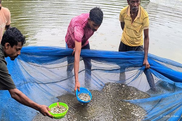 स्पान संवर्धन योजना बनी महिला किसान की आय का नया जरिया