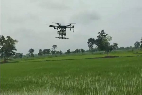 ड्रोन तकनीक से खेती को मिल रही नई दिशा