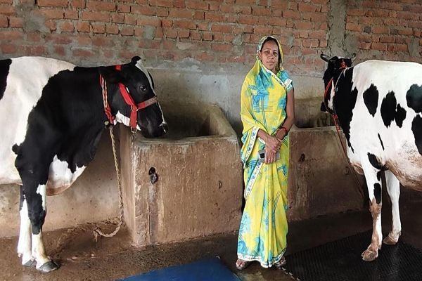 कृत्रिम गर्भाधान से बदली किस्मत