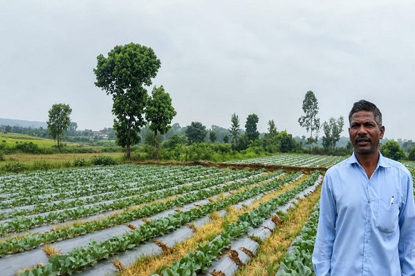 सूक्ष्म सिंचाई योजना से खेती बनी अधिक लाभकारी, ड्रिप सिंचाई अपनाकर किसान श्री आनन्द राम पैकरा ने बढ़ाया सब्जी उत्पादन